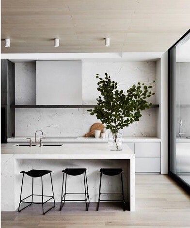 black and white with plant marbled kitchen