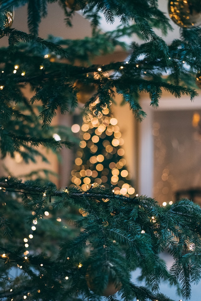 How to put lights on a Christmas tree vertically for a festive holiday glow