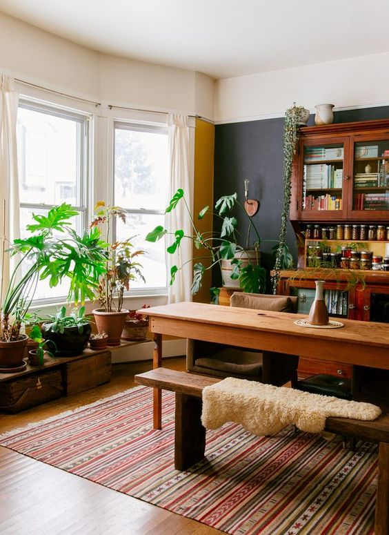 7 Dreamy ways to decorate your home with different types plants