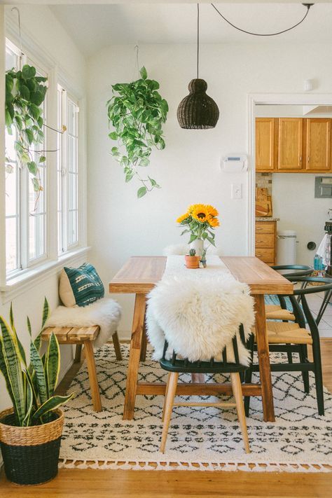 7 Dreamy ways to decorate your home with different types plants