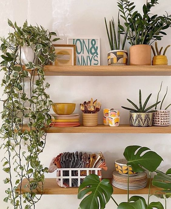 7 Dreamy ways to decorate your home with different types plants