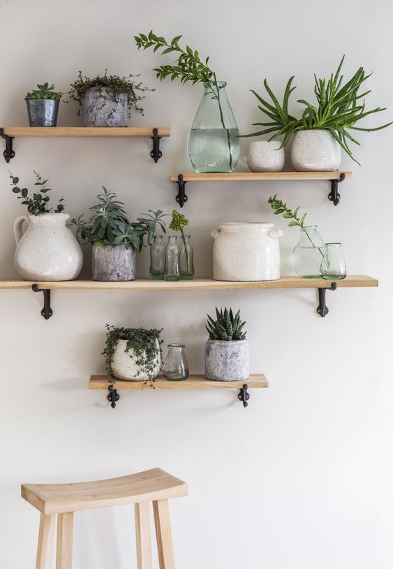 7 Dreamy ways to decorate your home with different types plants