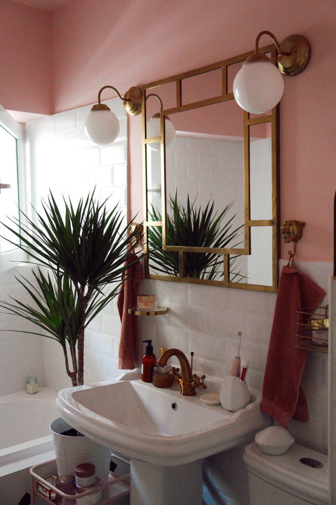 7 Dreamy ways to decorate your home with different types plants