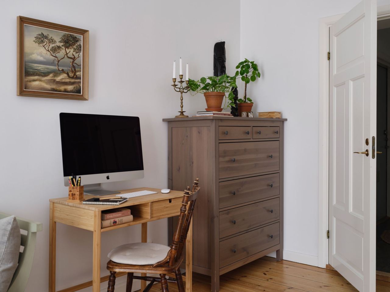 Charming small studio apartment full of plants